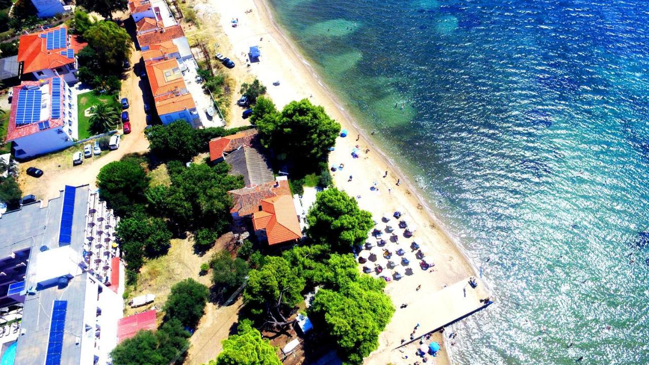 מטהמורפוסי Golden Beach Hotel מראה חיצוני תמונה