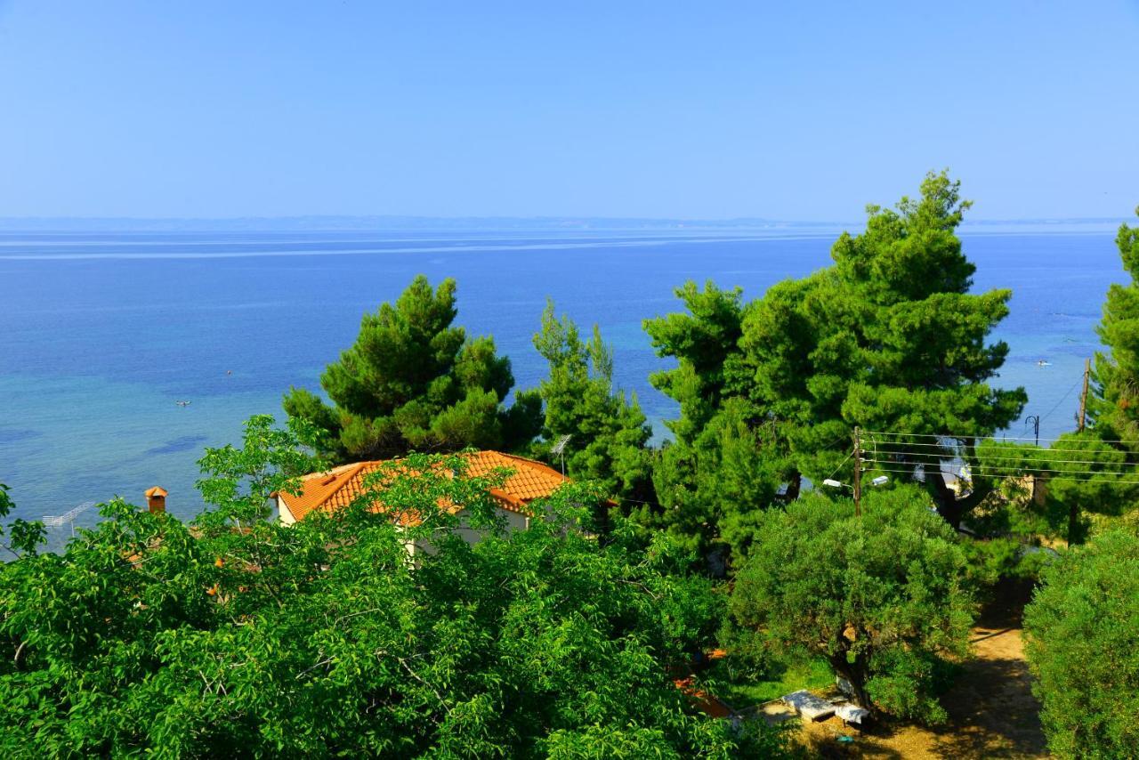 מטהמורפוסי Golden Beach Hotel מראה חיצוני תמונה
